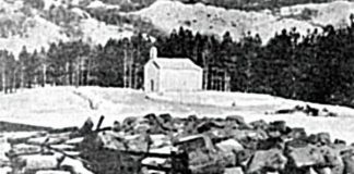 STRATEŠKO VERBALNO NASILJE: „Gorski vijenac“ 2011. je preveden na „crnogorski“ jezik – koji ima dva nova slova