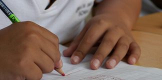 Platrofma o socijalnom uključivanju Roma na lokalnom nivou