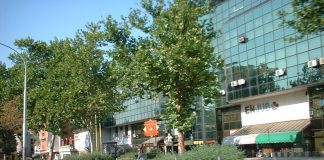 Stanovnici Novog Beograda : Nadležni ne reaguju