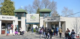 Osamdesetpet godina Beogradskog zoološkog vrta