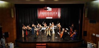 Nastupom Stefana Milenkovića zatvoren festival Ravanelius