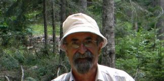 U Hadžićevom carstvu gljiva