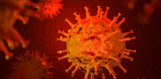 Ministarstvo: Još četvoro umrlo, 457 novozaraženih