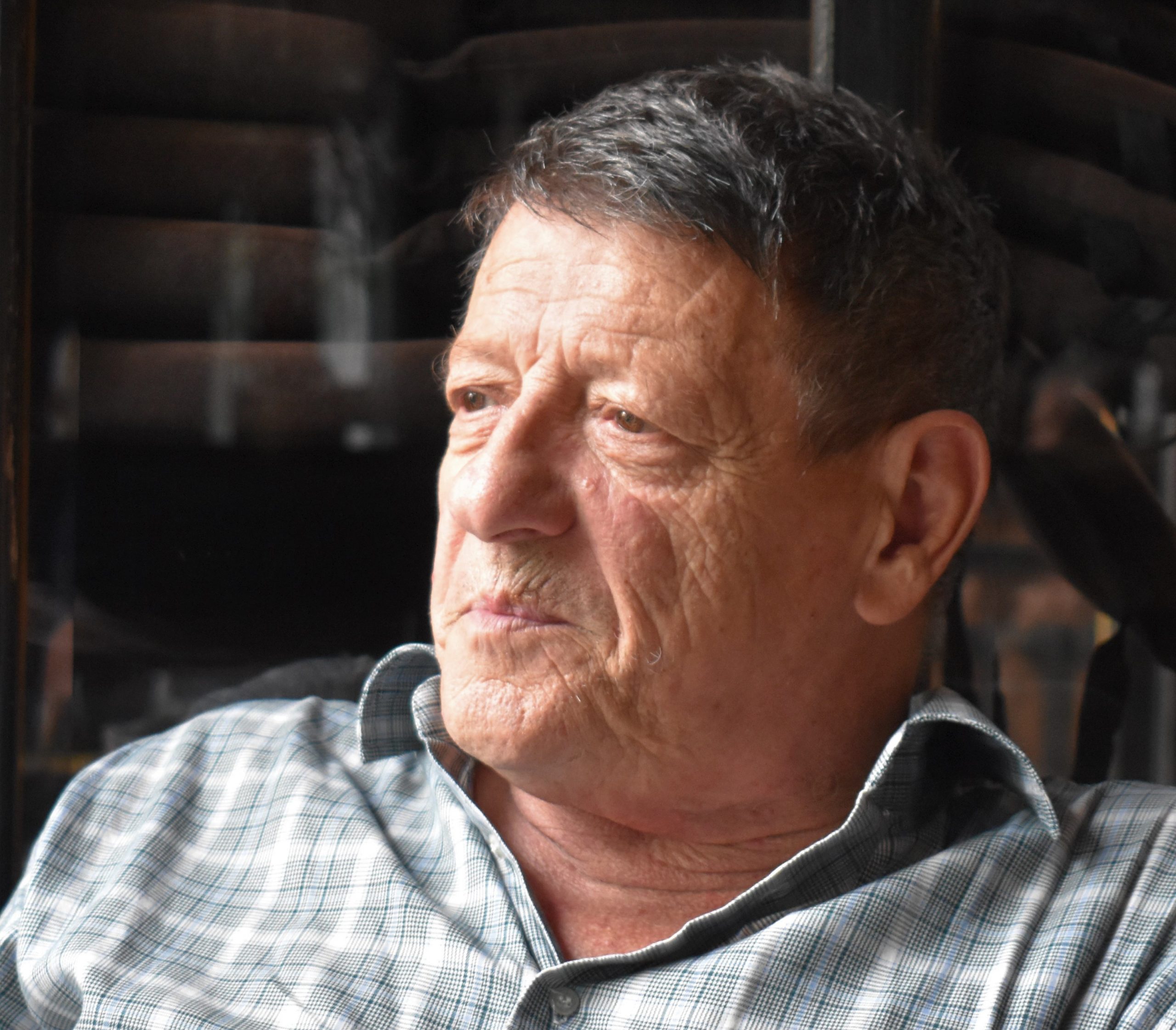 Svetislav Basara: Broz i Mikaz