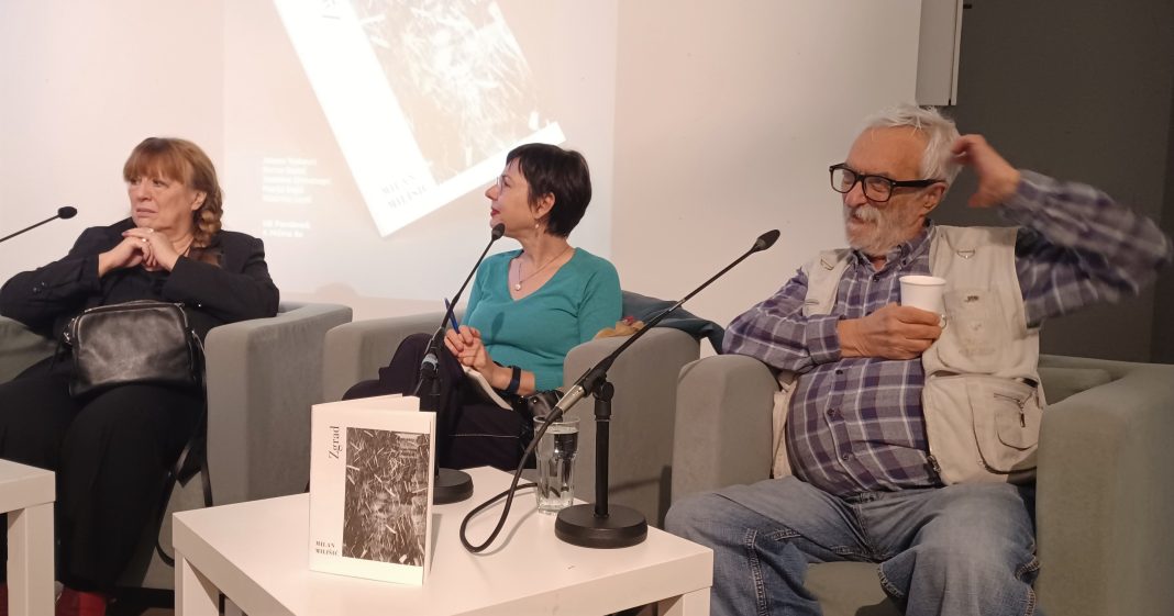 Goran Babić: Milan Milišić je naš najveću gubitak u prošlom ratu