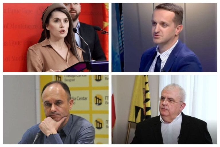 Vuletić: Promašena srpska politika želi poraz Đukanovića