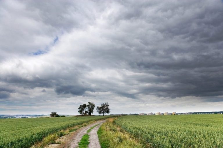 Sutra promenljivo oblačno, uveče pljuskovi negde sa olujnim vetrom