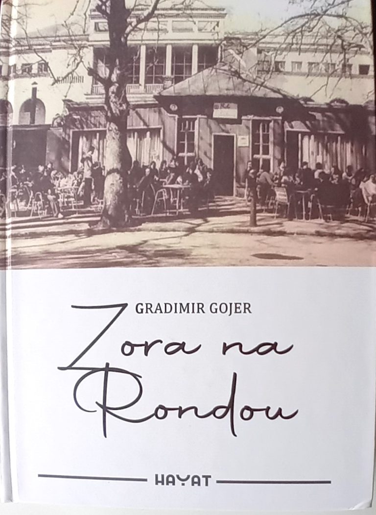 Gojer: Bolje više nikad neće biti, bolje je već bilo