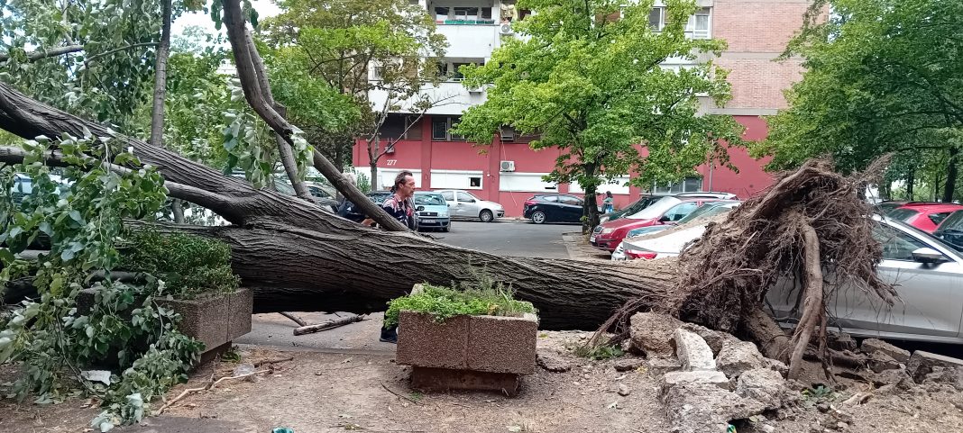 Novi Beograd: Pao kran na gradilištu u ulici Mileve Marić Ajnštajn