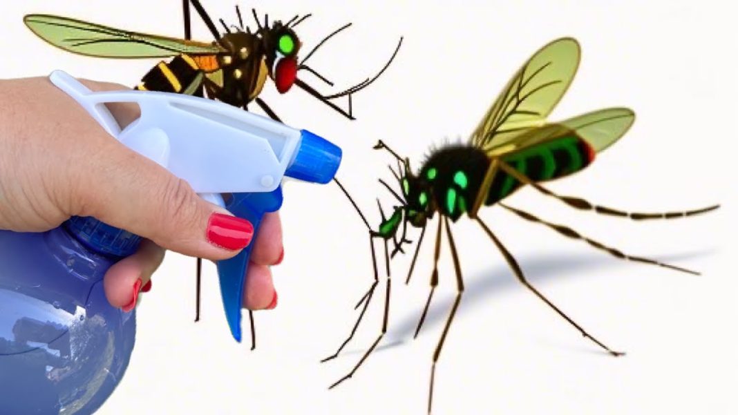 Beograd: Sutra nastavak akcije suzbijanja komaraca