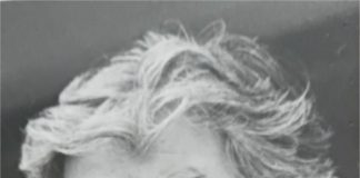 Radovanu Karadžiću oduzeta književna nagrada